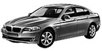 BMW F10 P2859 Fault Code